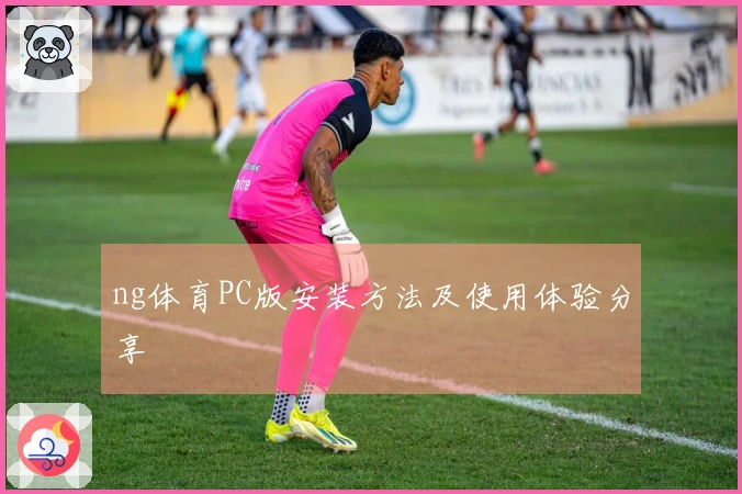 ng体育PC版安装方法及使用体验分享