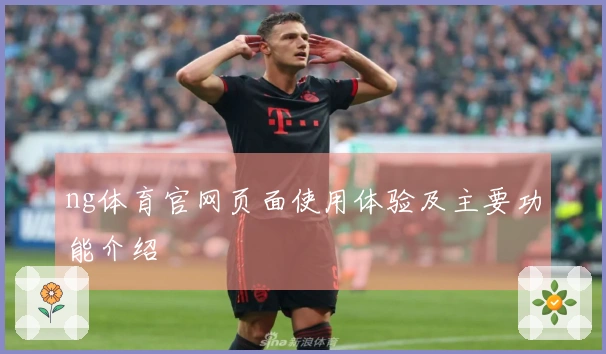 ng体育官网页面使用体验及主要功能介绍