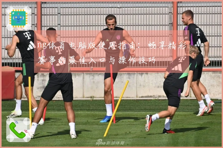 ng体育电脑版使用指南：畅享精彩赛事的最佳入口与操作技巧