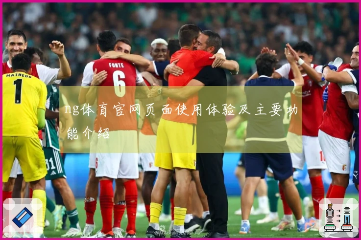 ng体育官网页面使用体验及主要功能介绍