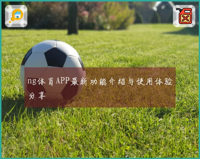 ng体育APP最新功能介绍与使用体验分享