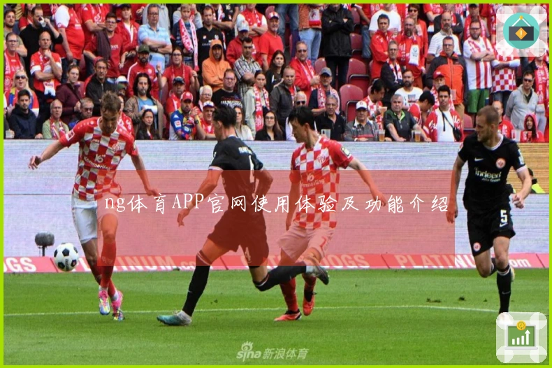 ng体育APP官网使用体验及功能介绍